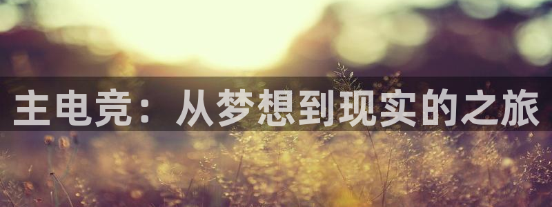 雷火电竞体育平台：主电竞：从梦想到现实的之旅